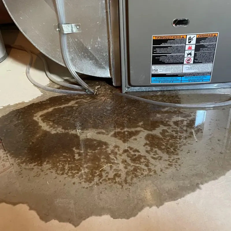 Pipe Burst and Leak Restoration in Midwest City, OK